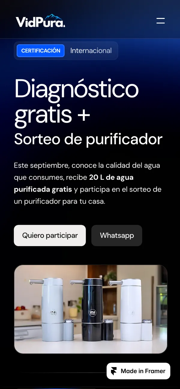Web de VidPura en celular