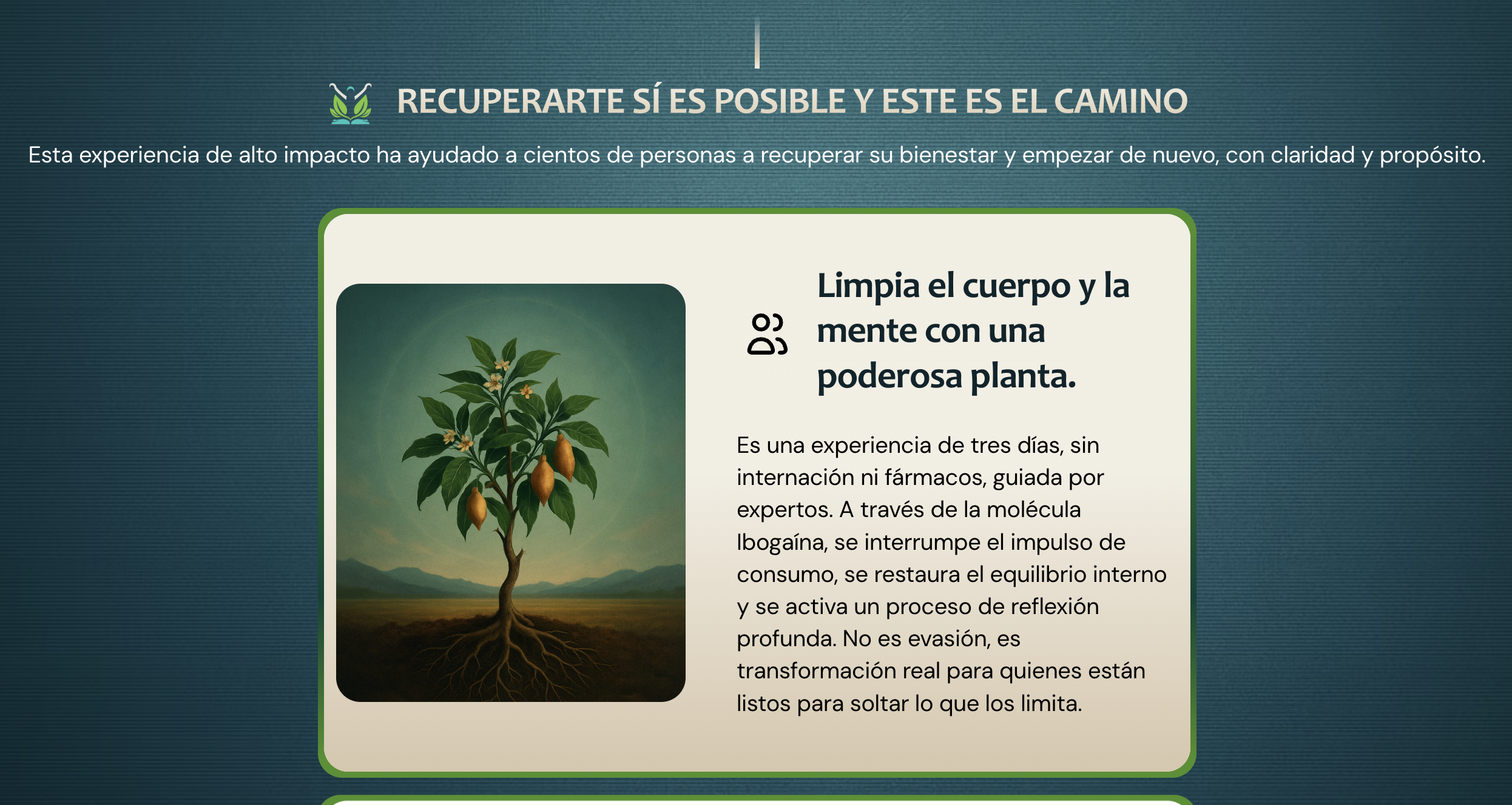 Green Reset
